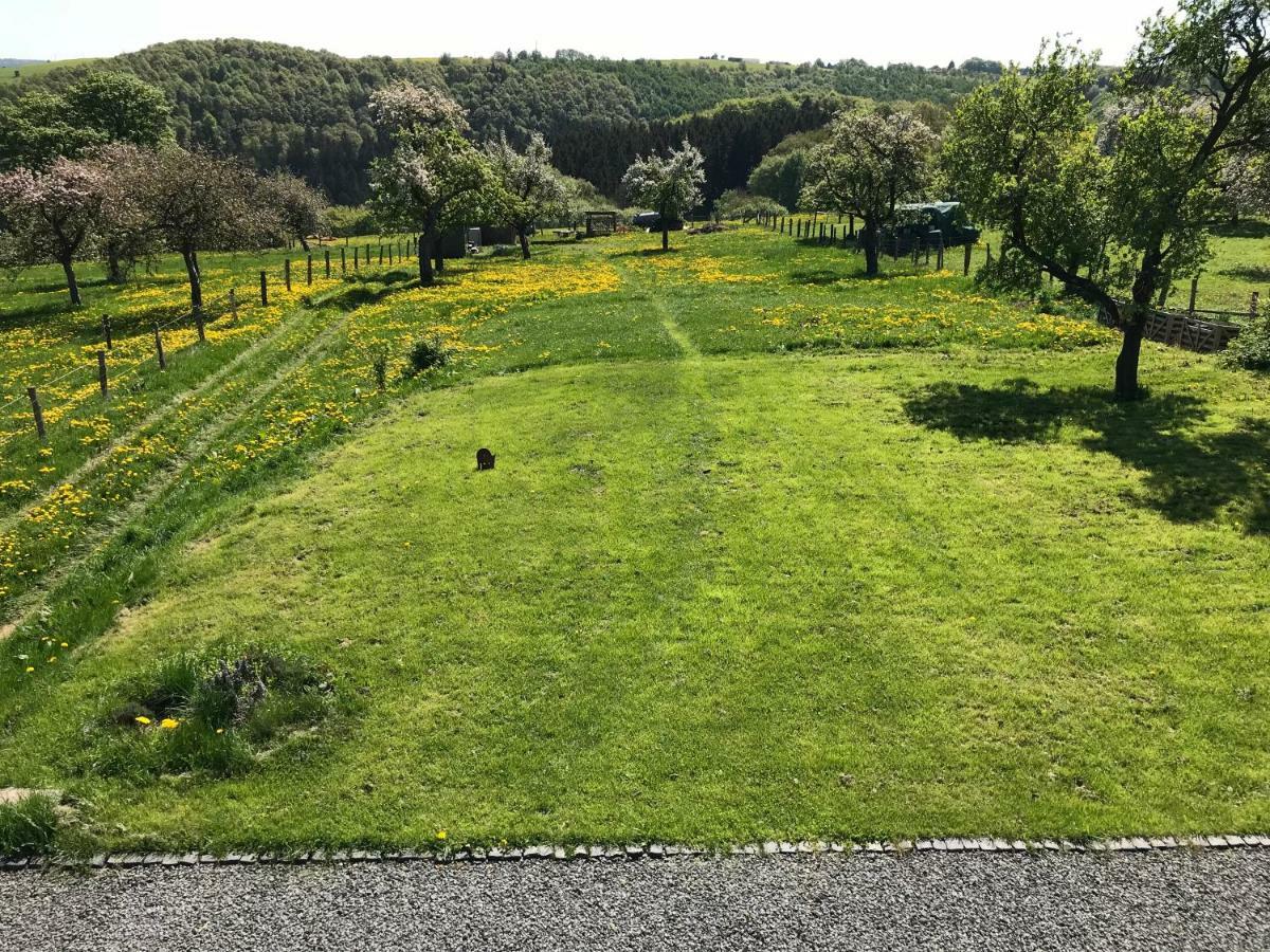 Ferienhaus Am Nationalpark Morsbach  外观 照片